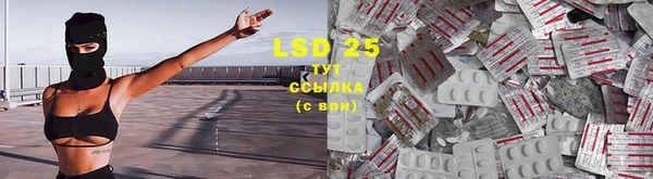 spice Балабаново